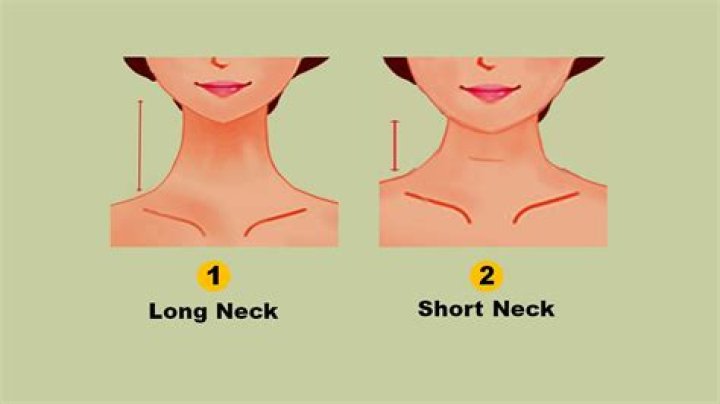 Are long necks the most attractive? GirlsAskGuys