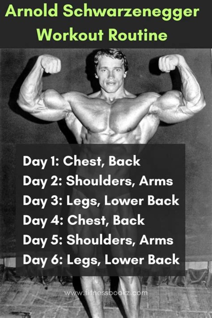 Arnold Schwarzenegger Training, Ern&auml;hrung und Motivation der