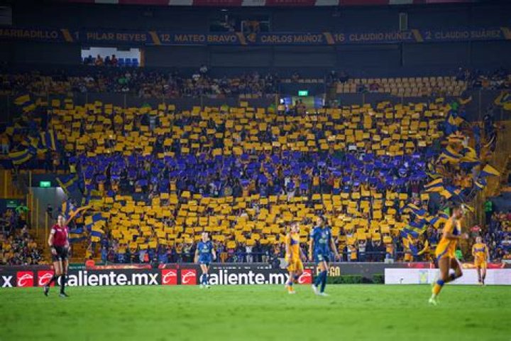 Arriba 100+ Foto Aficionada De Tigres Se Levanta La Playera Sin Censura