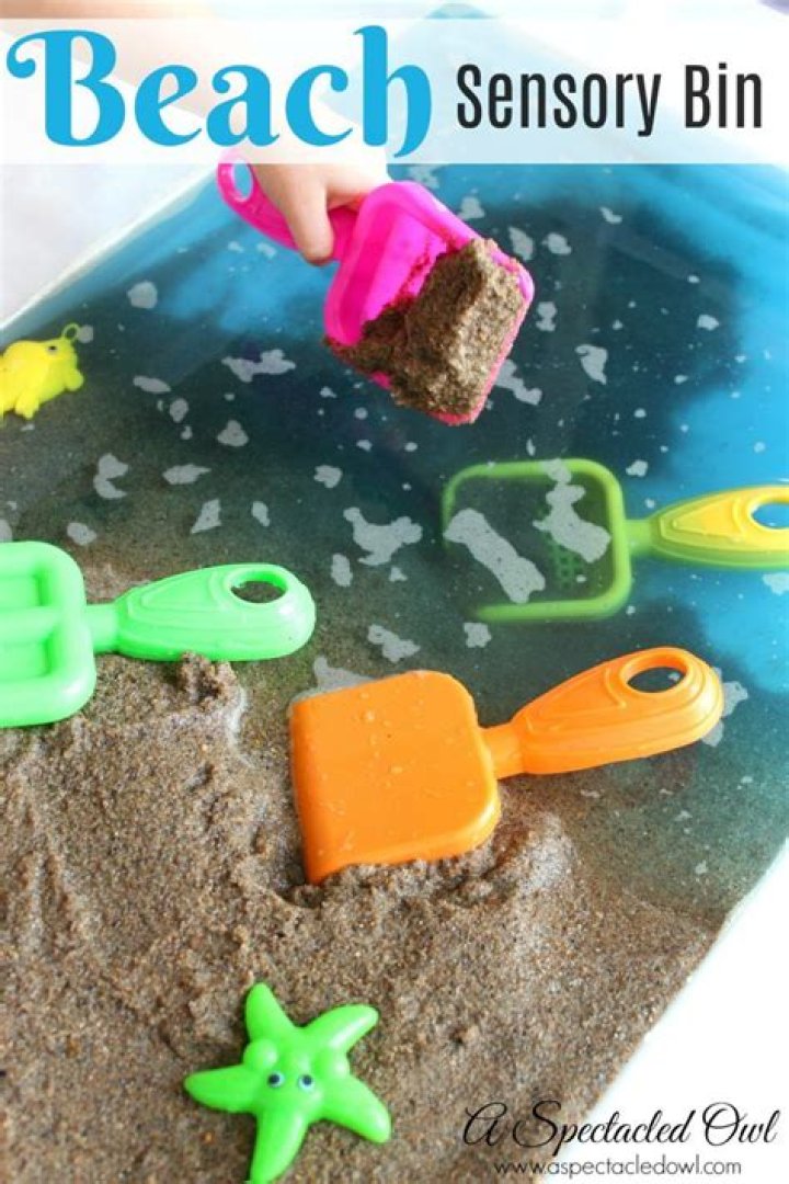 At the Beach Sensory Bin Idea My Bored Toddler