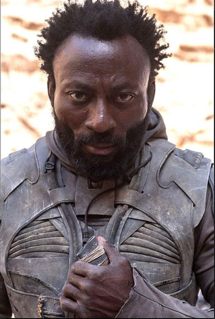 Babs Olusanmokun as Jamis in Dune 2021 Dune book, Dune, Dune frank