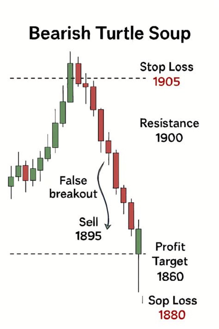 Bearish Turtle Breakout Pattern P&F Chart Definedge Securities