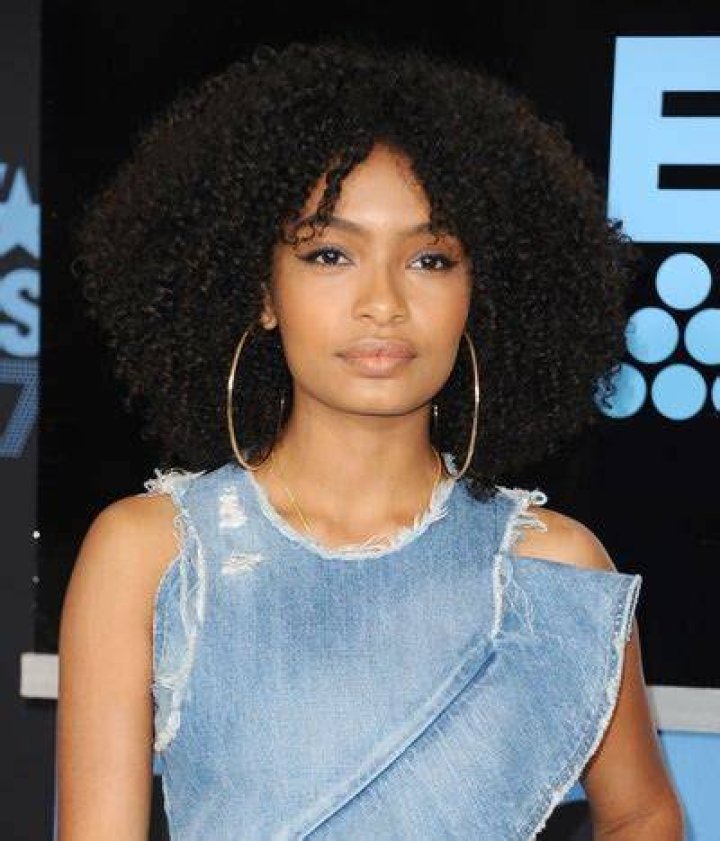 Best Celebrity Afros 2017 Essence