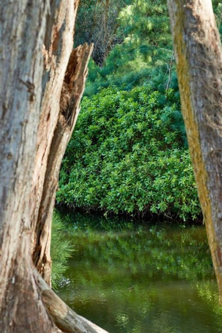 Big growth for Scenic Rivers The Timberjay