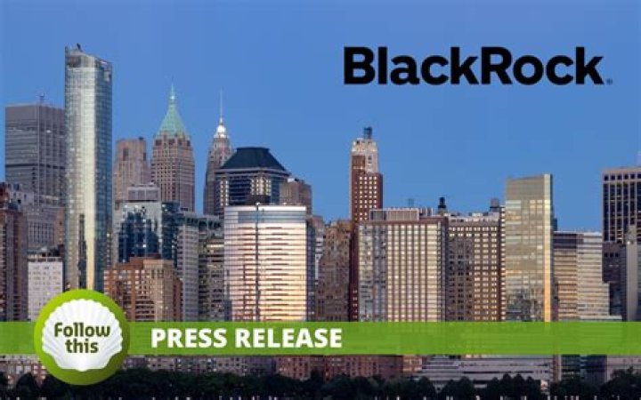 BlackRock rejected me. What next?