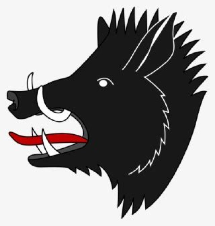 Boar Icon Png Wild Boar Coat Of Arms Transparent PNG 683x720 Free