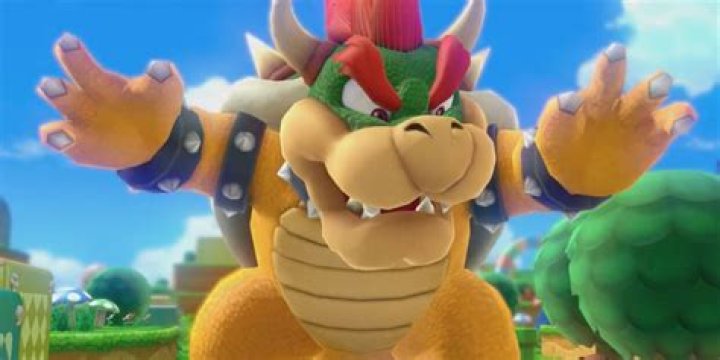 Bowser's mother Yuna's Princess adventure Wikia FANDOM powered by Wikia