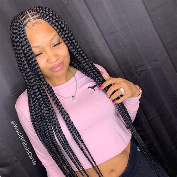 Box Braids Middle Part Braids in 2020 Feed in braids hairstyles