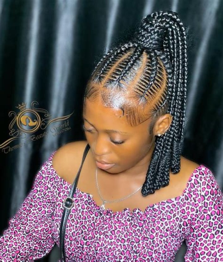 Braided Ponytail Hairstyles Best Braids for Cute Looks Zaineey's Blog