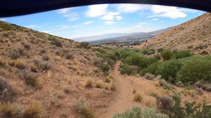 Brapping peavine. YouTube
