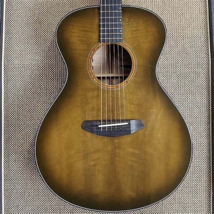 Breedlove Oregon Concert image (1674757) Audiofanzine