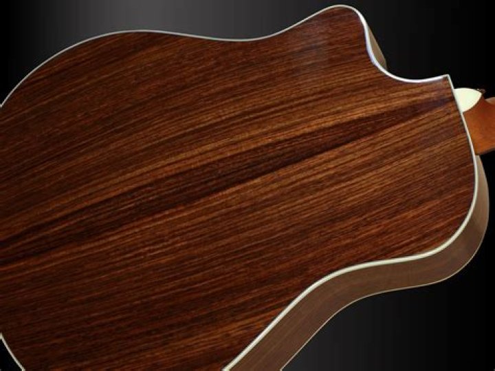 Breedlove Performance Focus D (BWare) Musik Saller