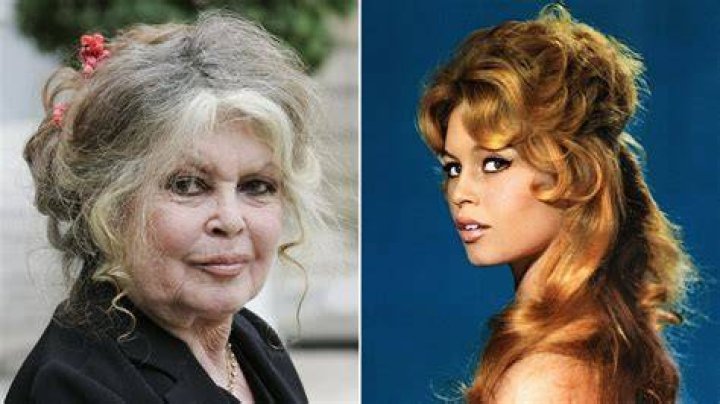 Brigitte Bardot Height, Age, Net Worth, Affair, Career, and More