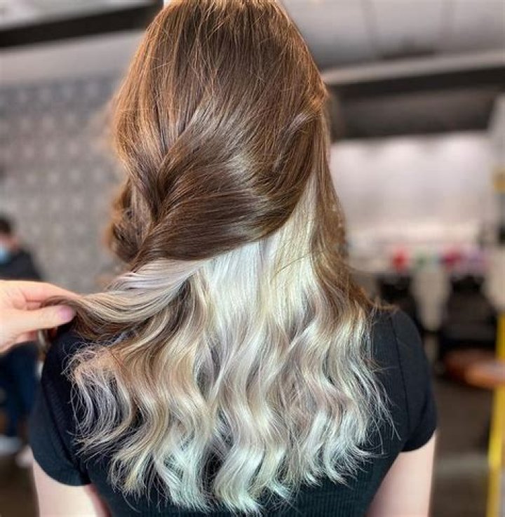 Brown Hair With Underneath Blonde Hair colors idea