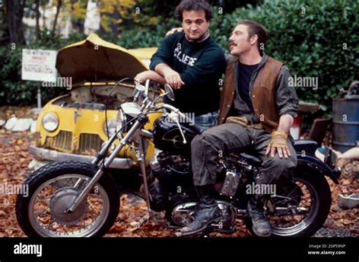 Bruce McGill National Lampoon's Animal House Wiki Fandom