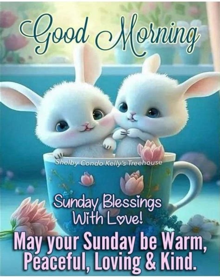 Bunny Good Morning, Happy Sunday Pictures, Photos, and Images for