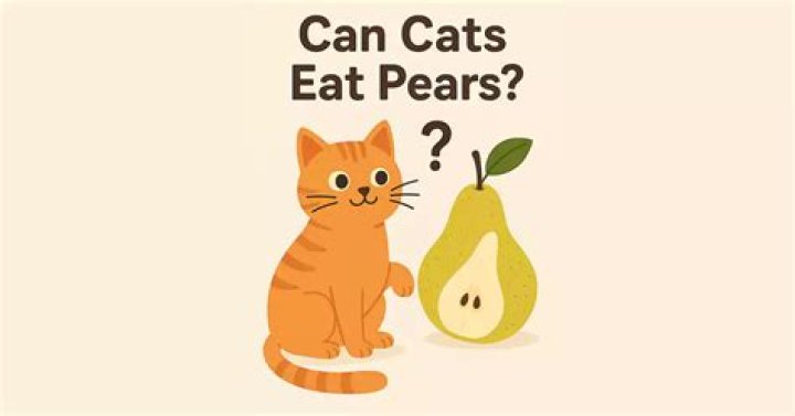 Can Cats Eat Pears? The Happy Cat Site