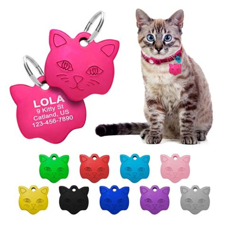 Cat ID tag with Cat Name Tag ID Tag for Cats Stainless Etsy