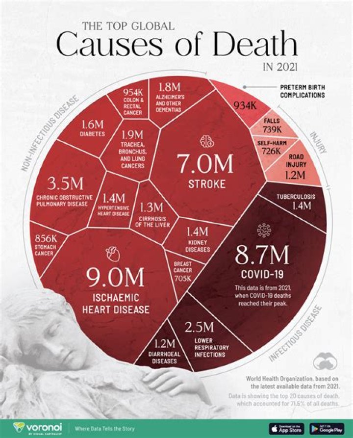 CAUSE OF DEATH AND BIOGRAPHY Tony Siragusa, former NFL star and TV