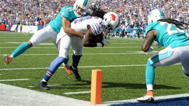 Celebrity Q&A Dolphins' Tight End Anthony Fasano Tee Times
