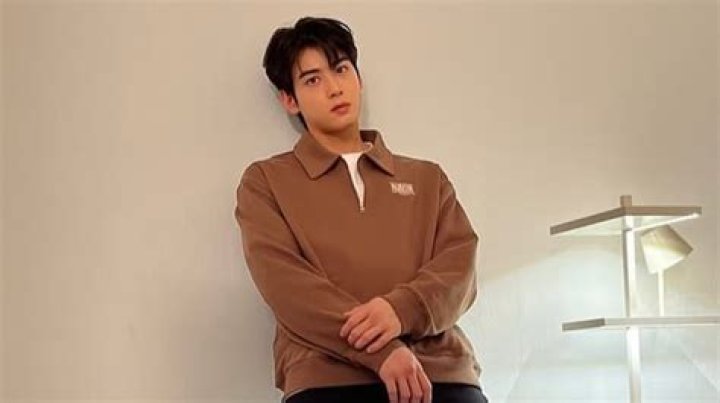 Cha Eun Woo Has A Japanese Actor Lookalike!