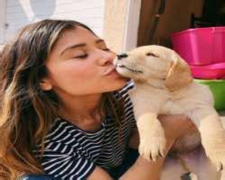 Chelsey Malia Amaro Birthday, Real Name, Age, Weight, Height, Family