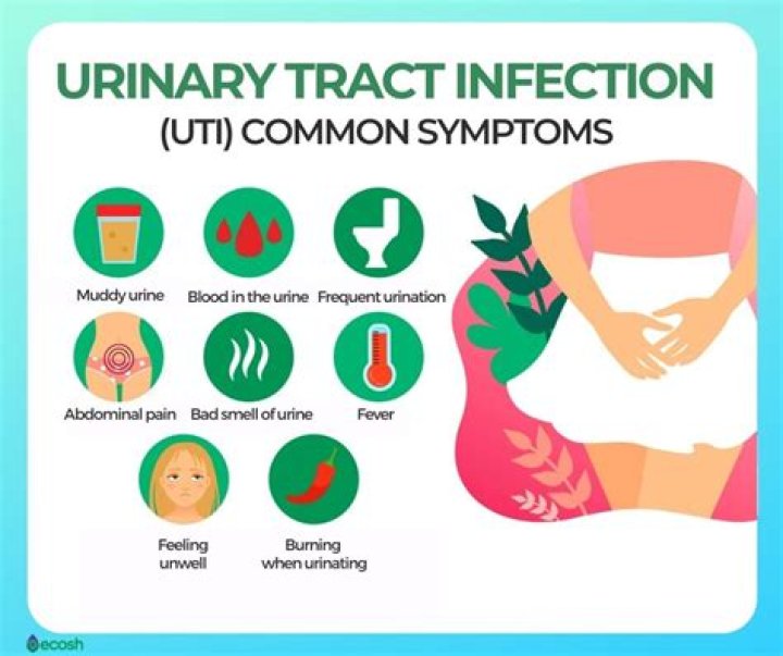 CitroSoda&reg; Relief of UTI symptoms, heartburn & acid indigestion
