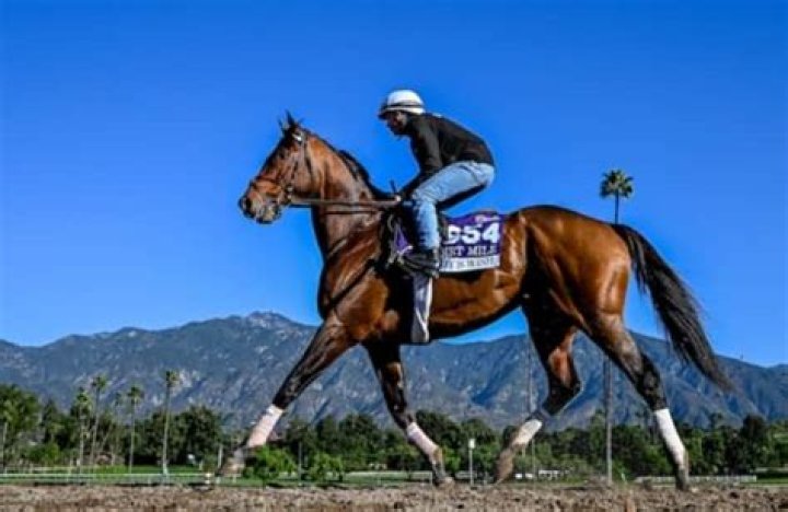 Cody&rsquo;s Wish Raises Vox Populi Award to New Heights