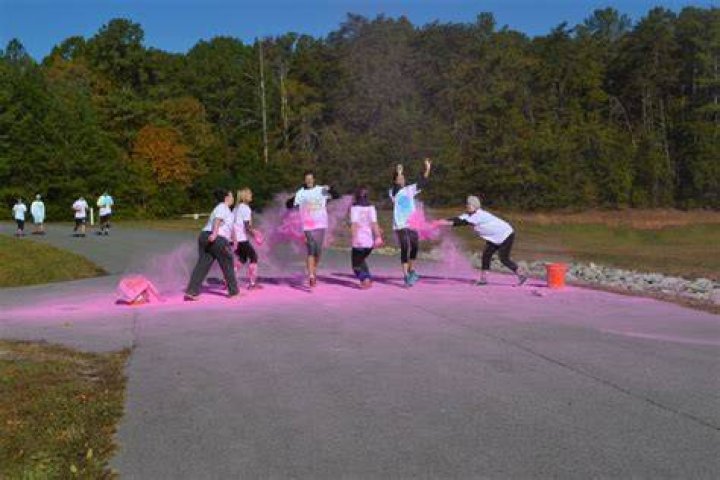 Color Me Chi O The Alabamian