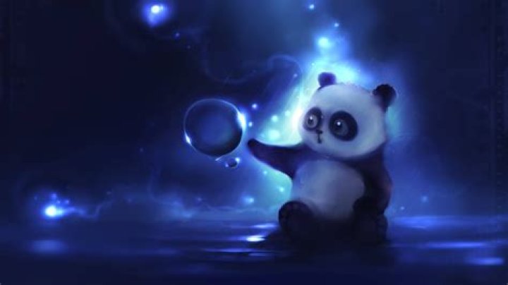 Cool Cute Wallpapers