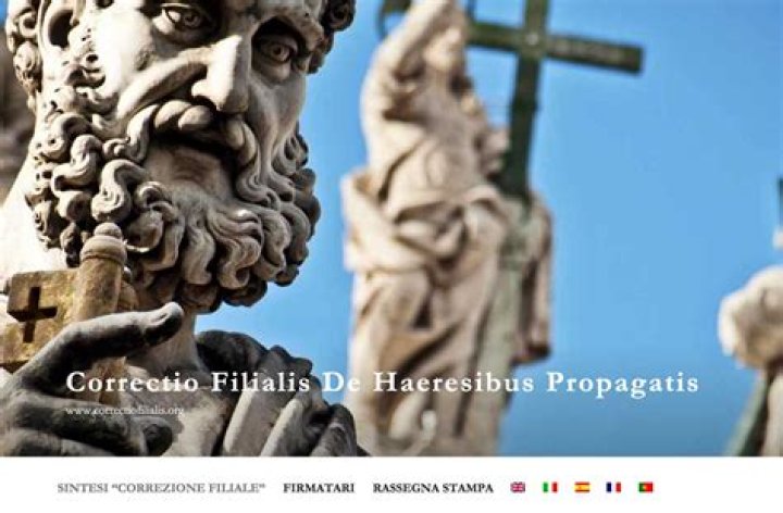 Correctio Filialis Francis weighs in (a little bit)! Catholic News