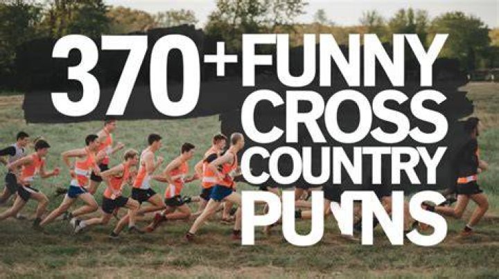 Cross Country in 2020 Funny horse memes, Horse jokes, Funny horses