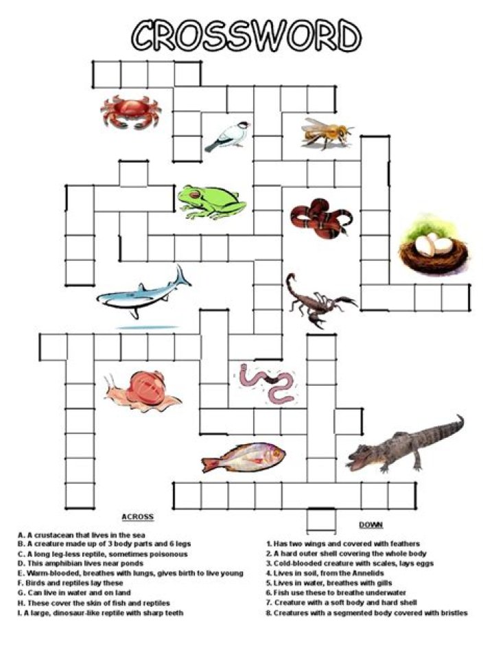 Crossword Reptile Fish