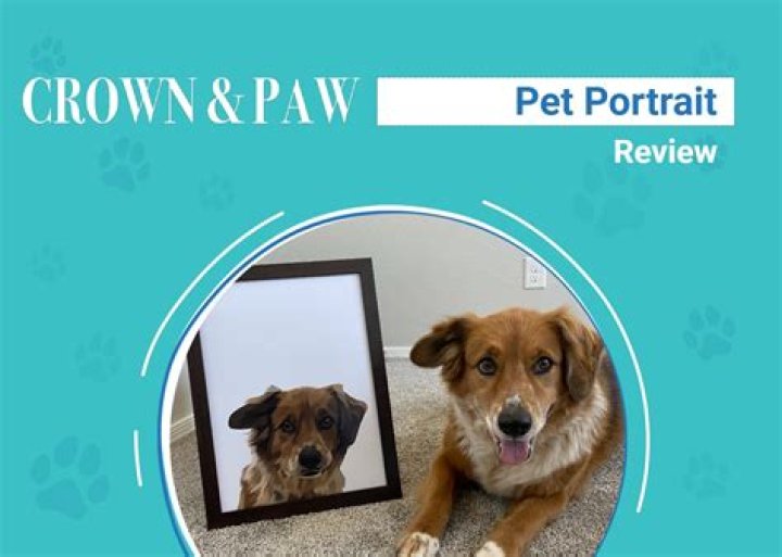 Crown & Paw Reviews 2024 Read Before You Buy Thingtesting