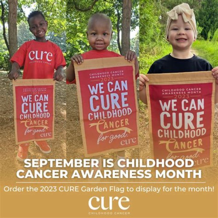 Cure Childhood Cancer The Impossible is Possible Corinne Kaplan