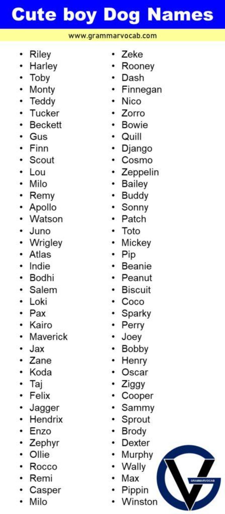 Cute Animal Names Boy