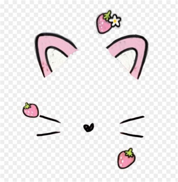 Cute Snapchat filter