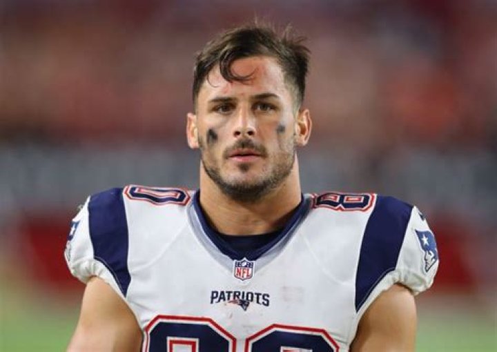 Danny Amendola Bio, Wiki, Net Worth, Dating, Girlfriend, Age