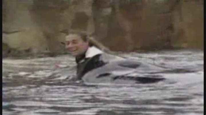 Dawn Brancheau SeaWorld Trainer Killed CBS News