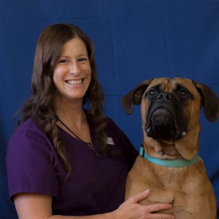 Deanna Molinaro Shelter Dogs, Animal Shelter, Animal Rescue, Auction