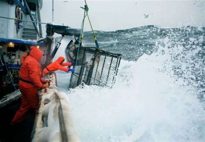 Deep Sea Fishing Guide Salary Discover what makes a good fishing