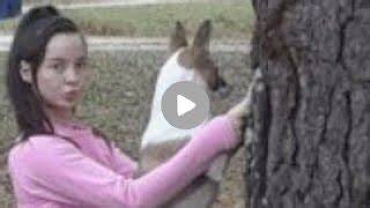 Denise Frazier Dog Video Reddit