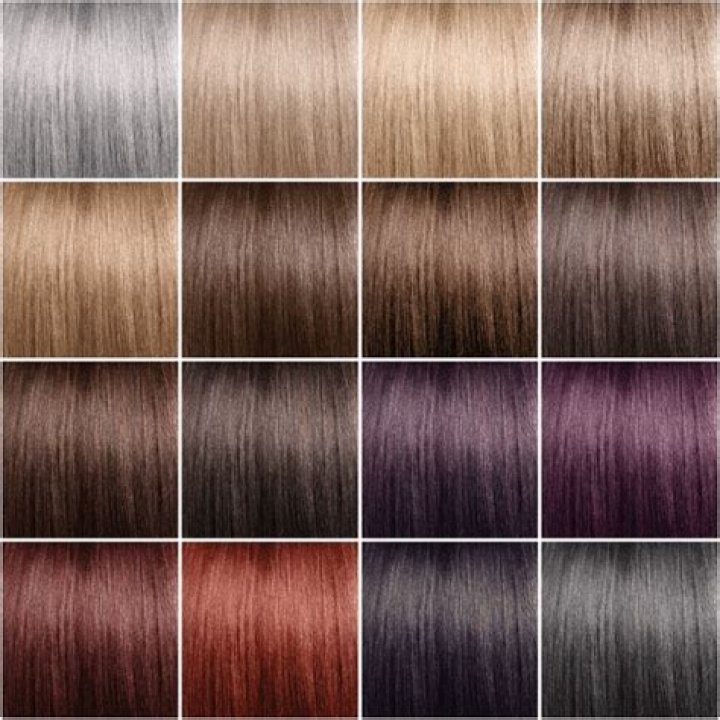 Details 146+ hair color chart wheel super hot camera.edu.vn