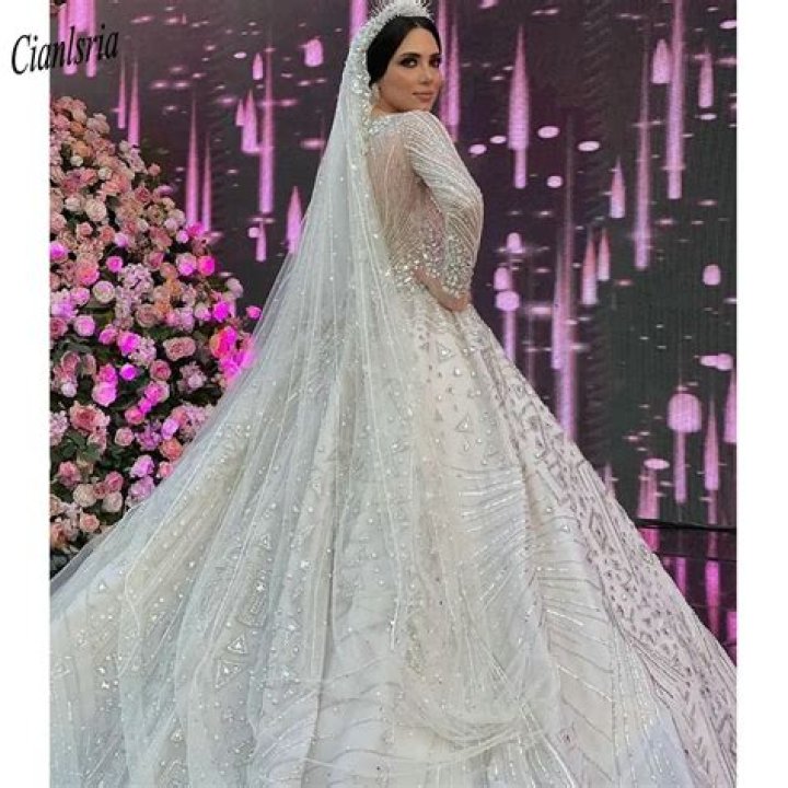 Diamond Wedding Most Expensive Wedding Gown wedding