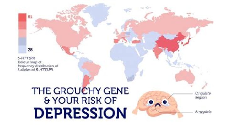 Did you know DNA affects your muscle strength? Did You Know DNA...