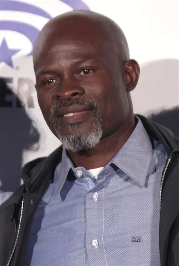 Djimon Hounsou 45 Famous, Sexy Silver Foxes POPSUGAR Celebrity