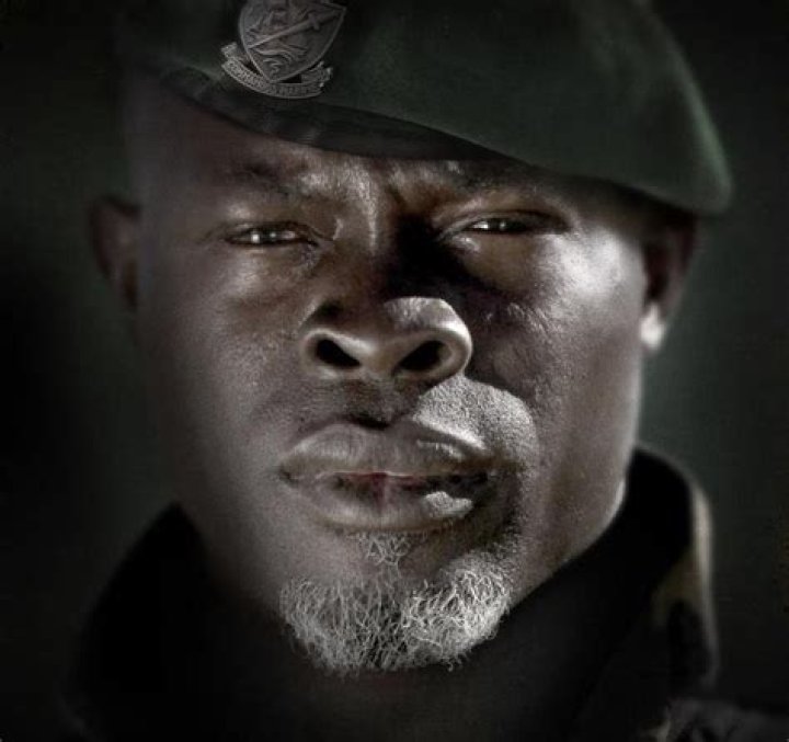 Djimon Hounsou Model Djjimon Hounsou The 15 Hottest ModelsTurned