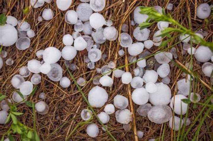 Do the hailstones really live in Alaska? Celebrity.fm 1 Official