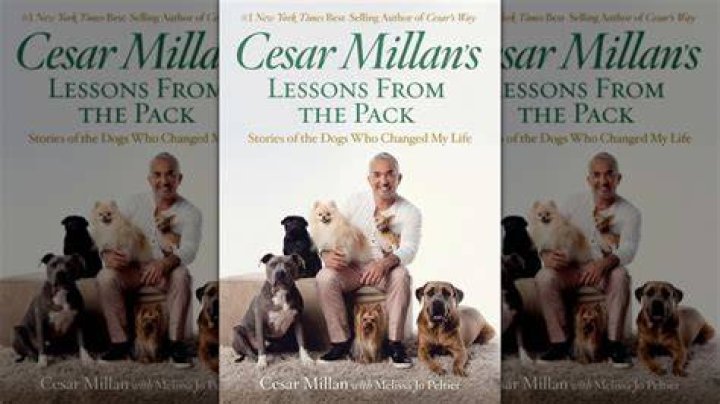 Dog Whisperer Cesar Millan Death Rumors Debunked