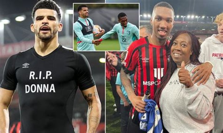 Dominic Solanke Biography Parents, Net Worth, Stats, Age, Siblings